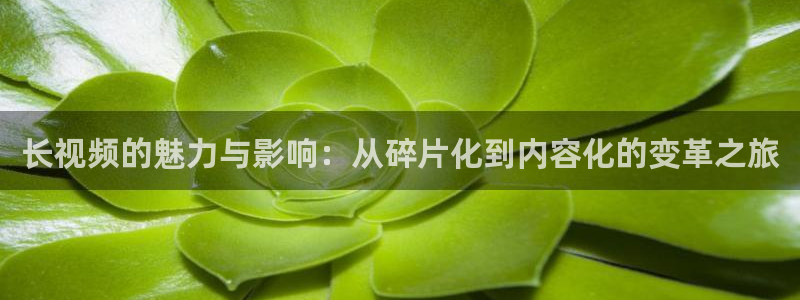 精东影业免费观看星辰