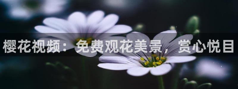 星空传媒在线观看1080p