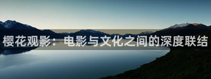 星空影视正版