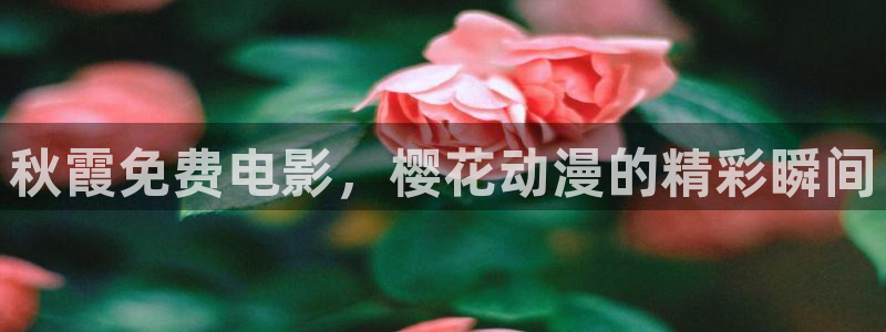 星空国际影城