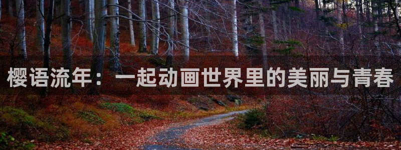 星空电影正片