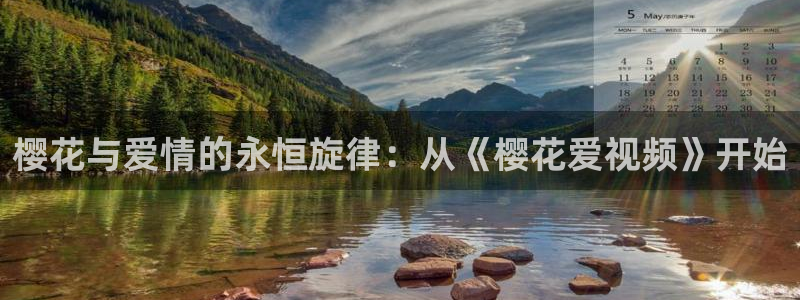 星空影视在线观看高清免费