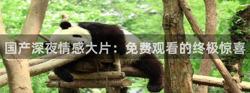 黑色四叶草精东影业