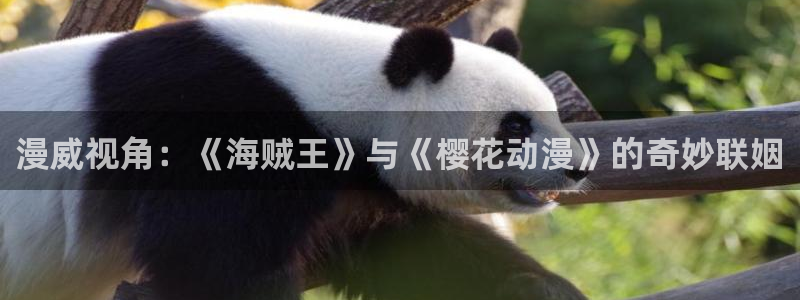 星空盒子影院影视大全免费观看