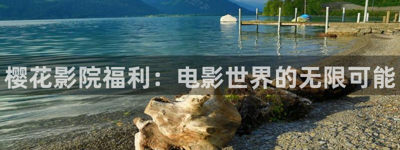 潜伏星空影视