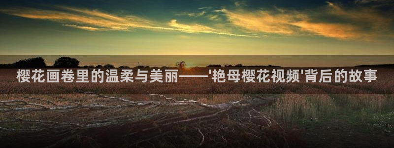 星空的照片