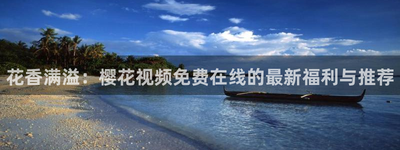 星空精东影业免费观看电影