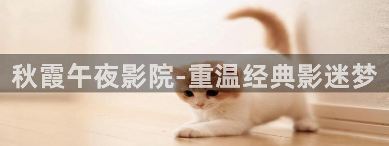 星空无限传媒观看