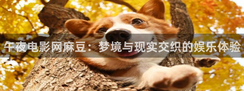 星空影视电影免费观看