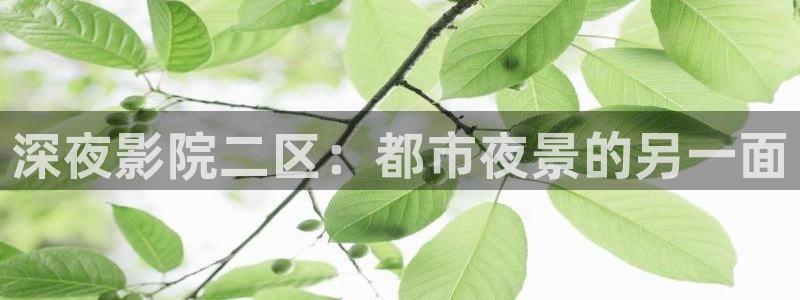 精东影业免费观看